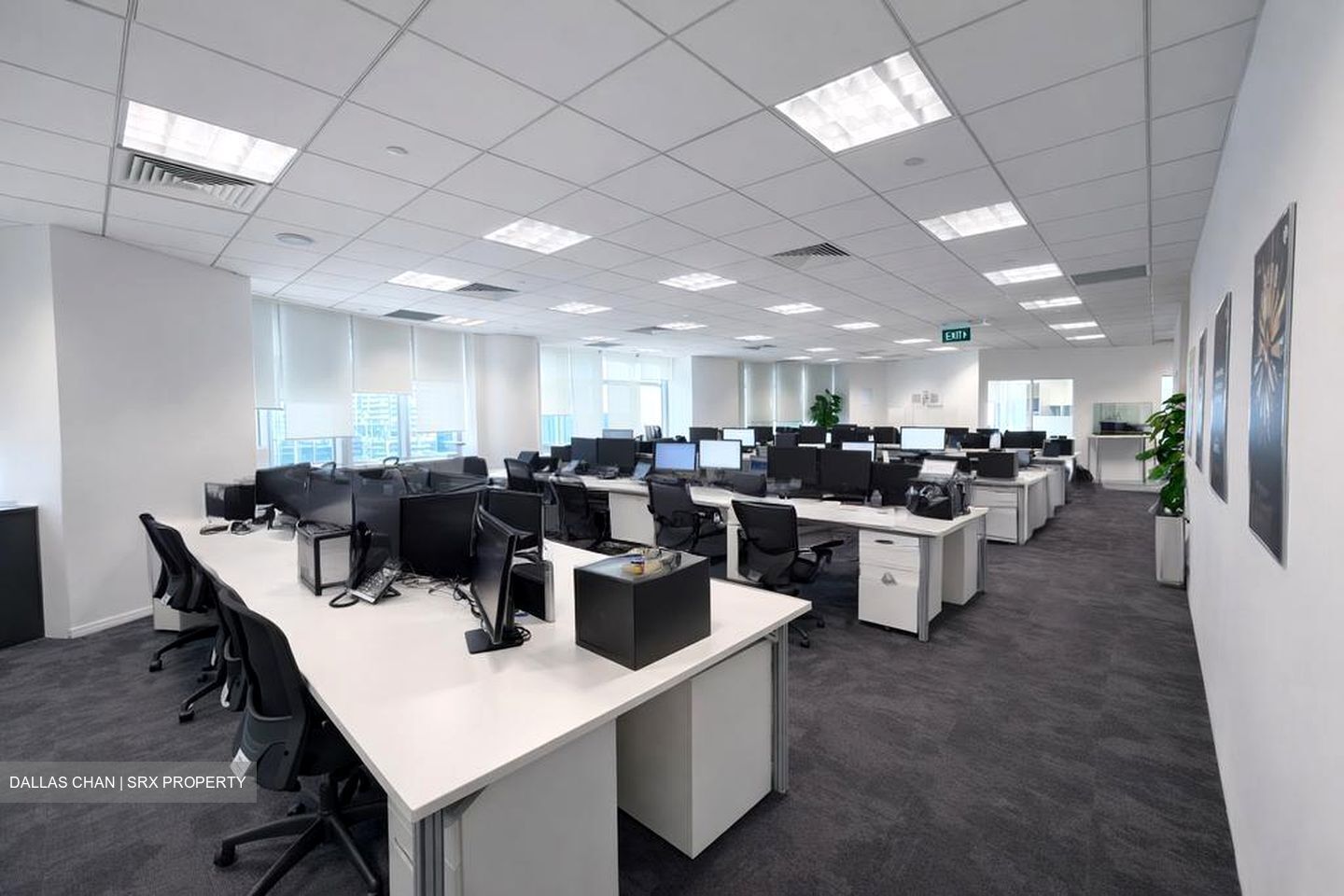 Springleaf Tower (D2), Office #518892201